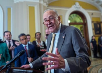 The Schumer Shutdown Is About the New York Senate Primary Next Year – HotAir