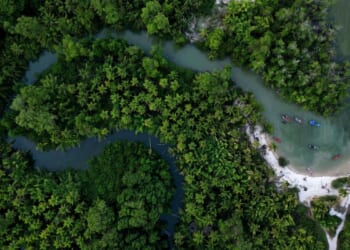 Brazil stumps up billions of dollars for its ambitious rainforest fund at U.N. climate summit
