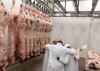 Trump requests Justice Dept. probe into possible price-fixing by major meatpackers