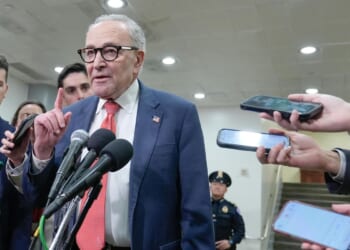 Bernie Sanders-inspired group Our Revolution wants Chuck Schumer to step down as Democratic leader
