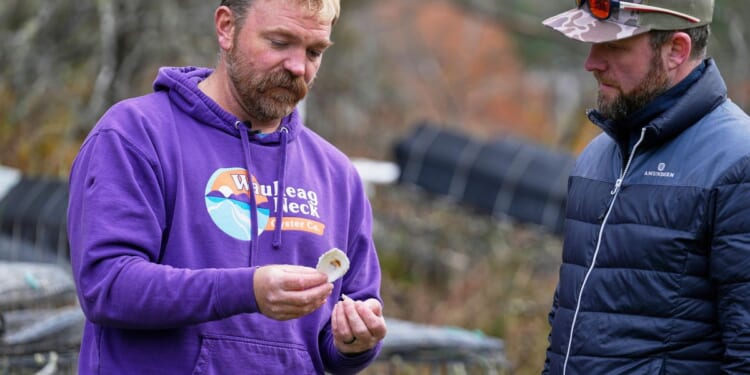 Graham Platner: Democratic voters will overlook my past to support a new type of candidate