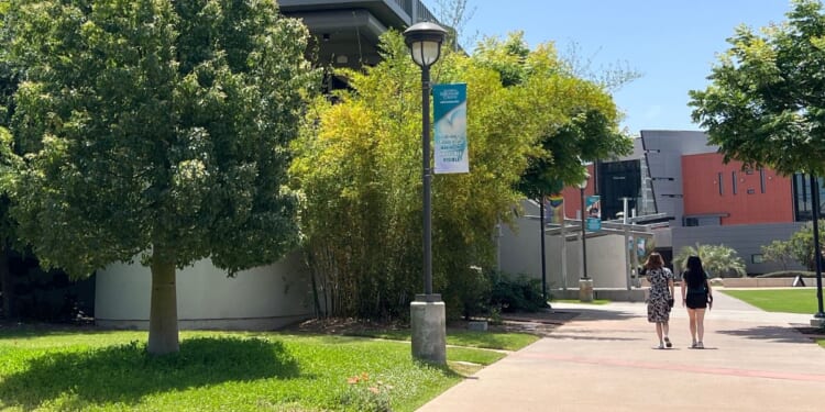 National Student Clearinghouse Research Center: Undergraduate fall enrollment up 2.4%