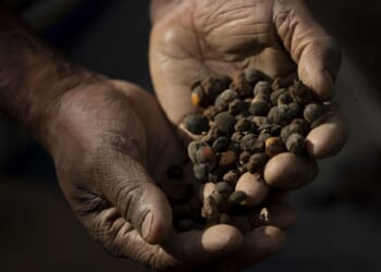 Tariff relief coming soon on coffee, bananas, Treasury Secretary Scott Bessent says