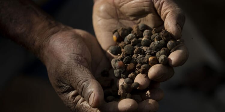 Tariff relief coming soon on coffee, bananas, Treasury Secretary Scott Bessent says