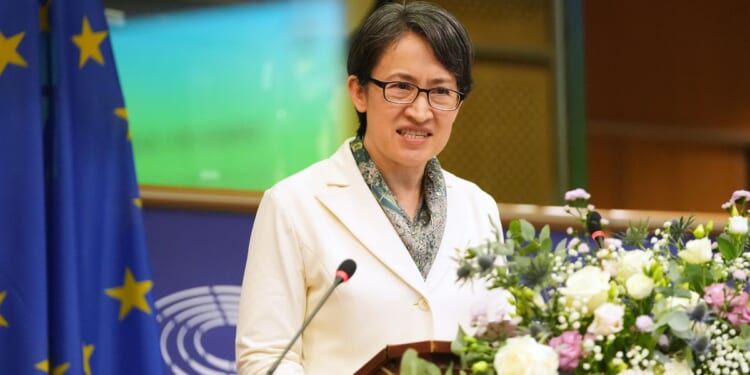 Washington mum as European address, Tokyo's tough talk fuel Beijing's ire over Taiwan