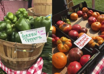 JAMA Oncology study links ultraprocessed foods to colorectal cancer tumors in young women