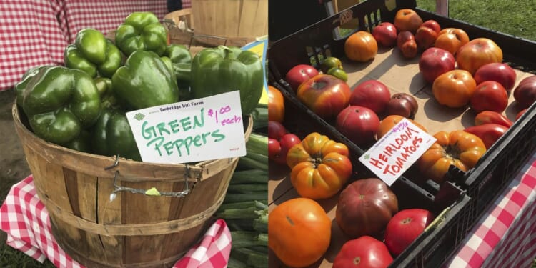 JAMA Oncology study links ultraprocessed foods to colorectal cancer tumors in young women