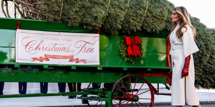 First lady Melania Trump welcomes Christmas tree to the White House
