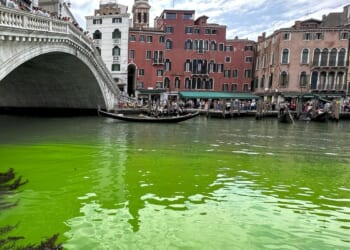 Greta Thunberg, other activists temporarily banned from Venice following Grand Canal dye stunt