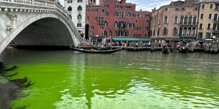 Greta Thunberg, other activists temporarily banned from Venice following Grand Canal dye stunt