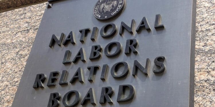 New legislation would crack down on hiring illegal immigrant workers and 'sanctuary unions'