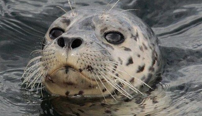 50-Year Mortgages Are a Horrific Idea – HotAir