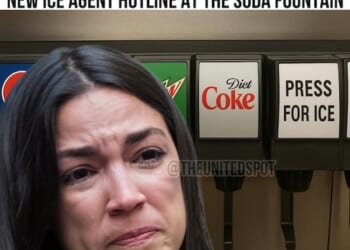 AWFL Convinced That She Can Break the Law Because 'I'm Just a Mom' – HotAir