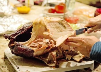 Bird Brains Hosting ‘Transgiving’ at a Michigan University – PJ Media