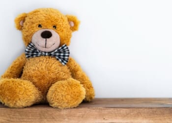 A children's toy in front of a white background.