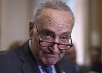 Schumer's Shutdown Did Not Go Well for Him – PJ Media
