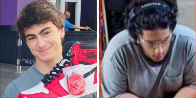 Milo Sedarat, left, son of Iranian-American poet Roger Sedarat, has been arrested in New Jersey, days after authorities announced the arrest of Mohmed Ali, 20, right, and a 19-year-old, Majed Mahmoud, Dearborn, Michigan, in connection with an alleged terrorist plot.