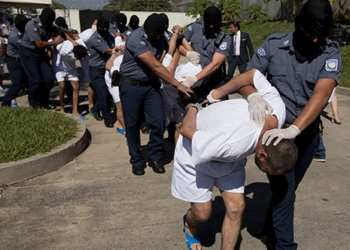 The New Yorker Goes to Bat for Model (Non) Citizen – HotAir