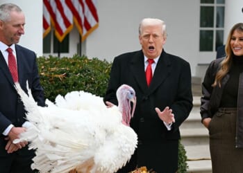 First Lady Melania Trump looks on as President Donald Trump pardons Gobble, one of the National Thanksgiving turkeys, during the White House turkey pardon ceremonyTuesday.