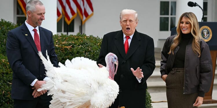 First Lady Melania Trump looks on as President Donald Trump pardons Gobble, one of the National Thanksgiving turkeys, during the White House turkey pardon ceremonyTuesday.