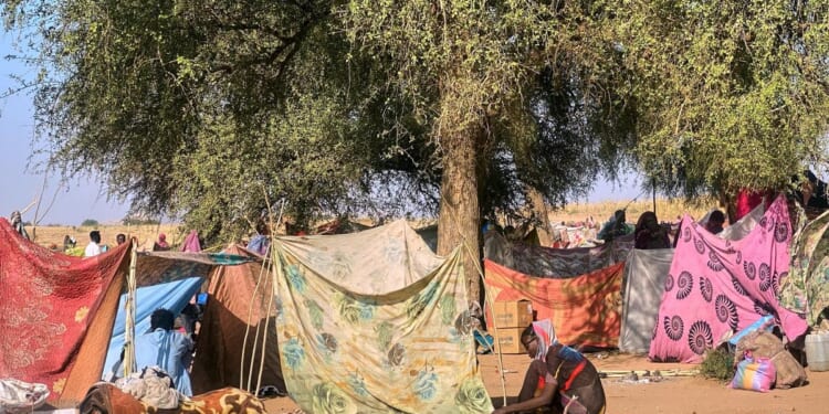 U.N. migration agency warns Sudan relief operations are 'on the brink of collapse'