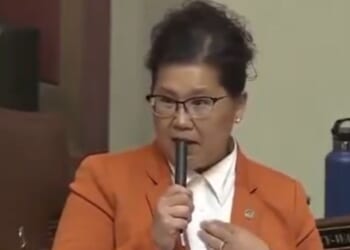 Minnesota state Rep. Kaohly Vang Her claimed in a June speech to be "illegal," but later walked back those claims. Now she's been elected mayor of St. Paul.