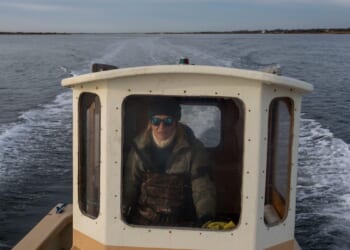 Inside the unexpected second acts of WNBA stars