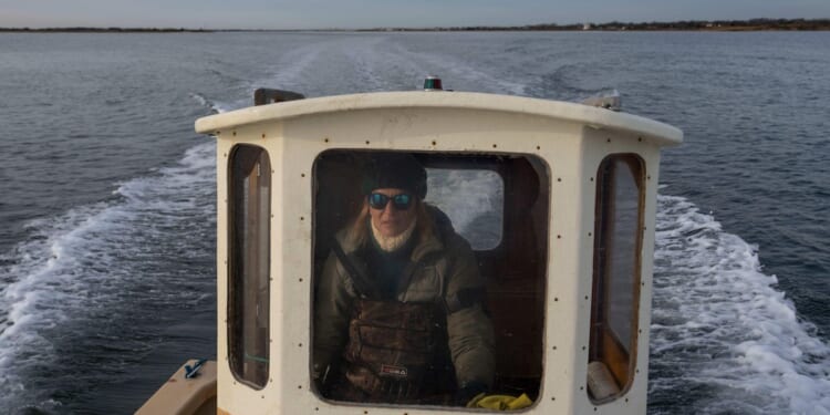 Inside the unexpected second acts of WNBA stars