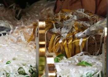 Pope Leo denounces 'antisemitic violence' of Sydney attack as he thanks Christmas donors