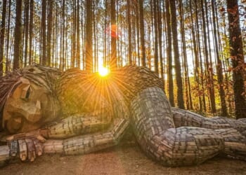 See the trolls: Thomas Dambo's sculptures turn recycled art into a global phenomenon