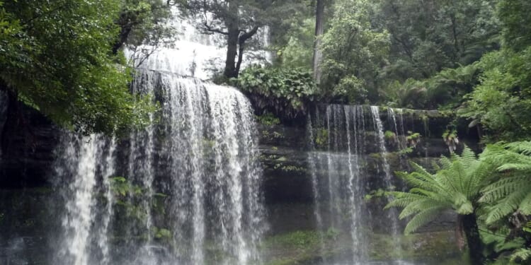 Searchers find phone of Belgian woman missing since 2023 in Australia