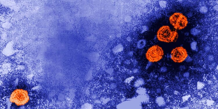 U.S. gives no-bid contract to Denmark scientists studying hepatitis B vaccine in African babies