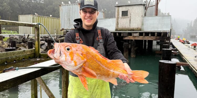 A fisherman in California may have broken records by catching a 10.25-pound canary rockfish