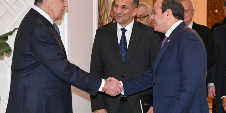 Egypt's el-Sissi urges UN Security Council reforms for Africa's larger role