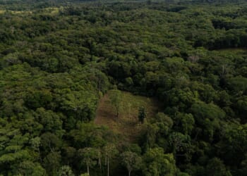 Colombia will use drones to destroy coca crops as it grapples with record cocaine production