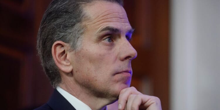 Hunter Biden questions his political affiliation, speaks out against illegal immigration