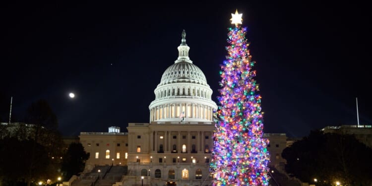 The 2025 Capitol Christmas tree is seen on the West Lawn of the U.S. Capitol in Washington, D.C., on Dec. 7, 2025.