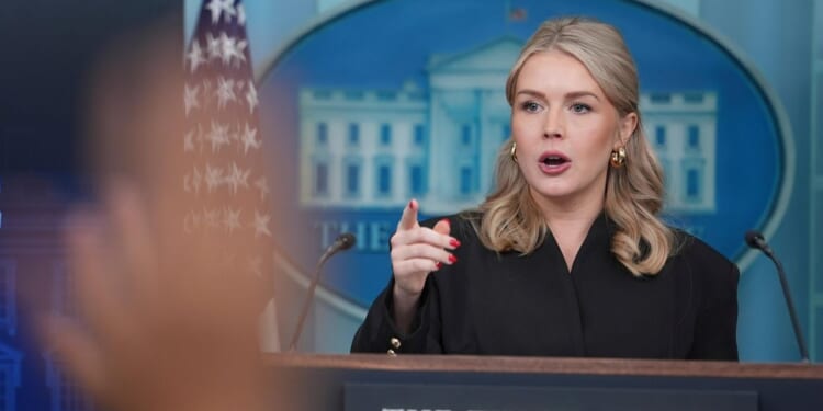 Karoline Leavitt says administration considering denaturalization for Somalis in Minnesota fraud