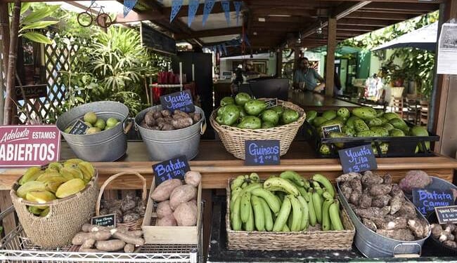 A Hard Reality From a Farmers Market – PJ Media