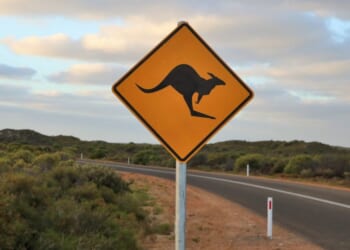 Kangaroos - and kangaroo crossing signs - are a fairly common sight in Australia, where this file photo was taken. But residents around Tulsa, Oklahoma, were startled recently to see an escaped pet kangaroo go hopping down the roadway.