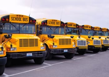 A row of yellow school buses.