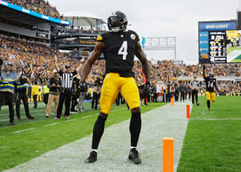 Steelers Wide Receiver Punches Lions Fan in the Face in Middle of Sunday Game