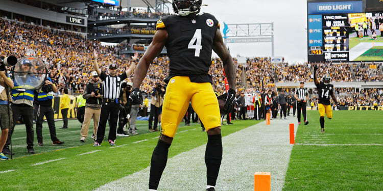 Steelers Wide Receiver Punches Lions Fan in the Face in Middle of Sunday Game