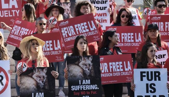 The Day PETA Looked Right, and Heads Exploded – PJ Media