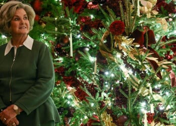 Trump, Leavitt React to Susie Wiles Profile