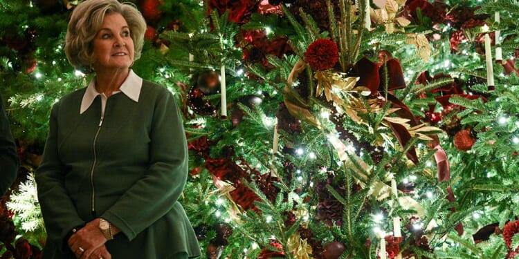 Trump, Leavitt React to Susie Wiles Profile