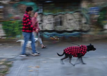 Earthquake with a preliminary magnitude of 6.5 hits southern and central Mexico