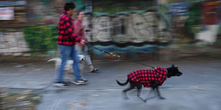 Earthquake with a preliminary magnitude of 6.5 hits southern and central Mexico