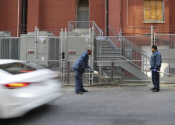 District bill would require city health officials to act against rat population