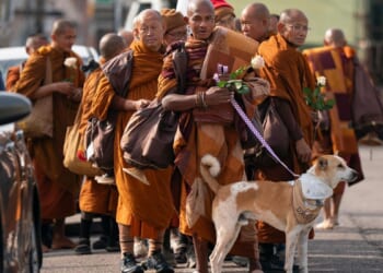Buddhist monks and their dog captivate Americans while walking for peace